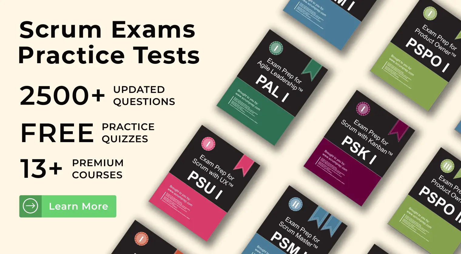 PAL-I Latest Exam Format